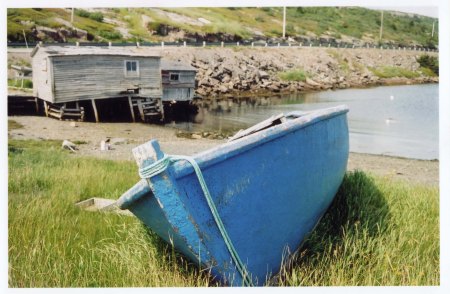 Nfld -- Boat on Grass